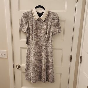 Karl Lagerfeld Black and White A-Line Mini Dress with Peter Pan Collar